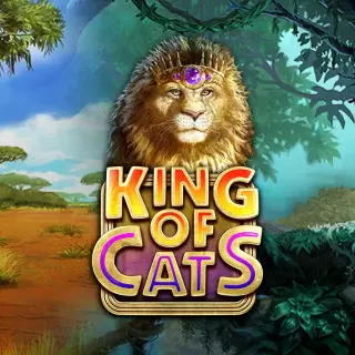 Play for Fun king of cats